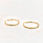 Load image into Gallery viewer, Aracely Hoop Earrings
