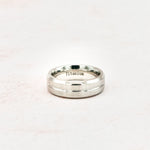 Load image into Gallery viewer, Titanium Silver Color Ring
