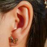 Load image into Gallery viewer, Shiny Butterfly Stud Earrings
